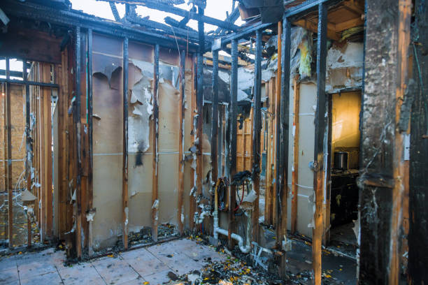 Professional Smoke Damage Removal technician working in Colby, KS